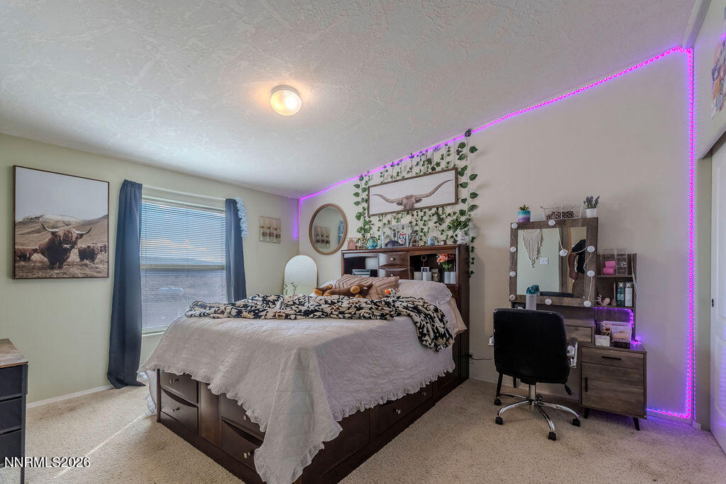 4595 Hackamore Lane Stagecoach, NV 89429 - Photo 29 of 59 HackamoreLn31