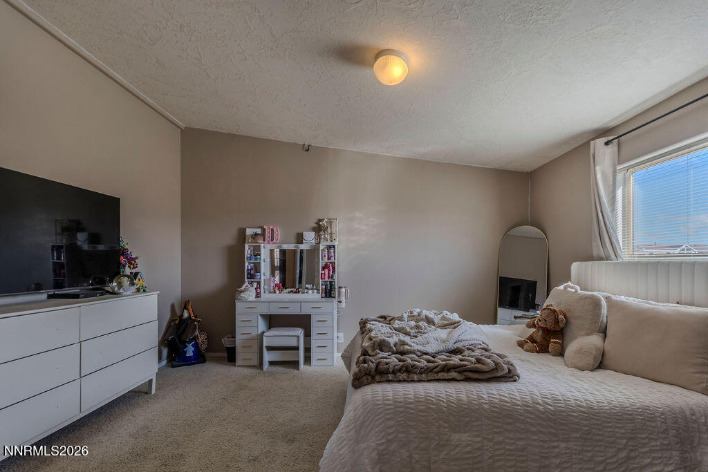 4595 Hackamore Lane Stagecoach, NV 89429 - Photo 34 of 59 HackamoreLn36
