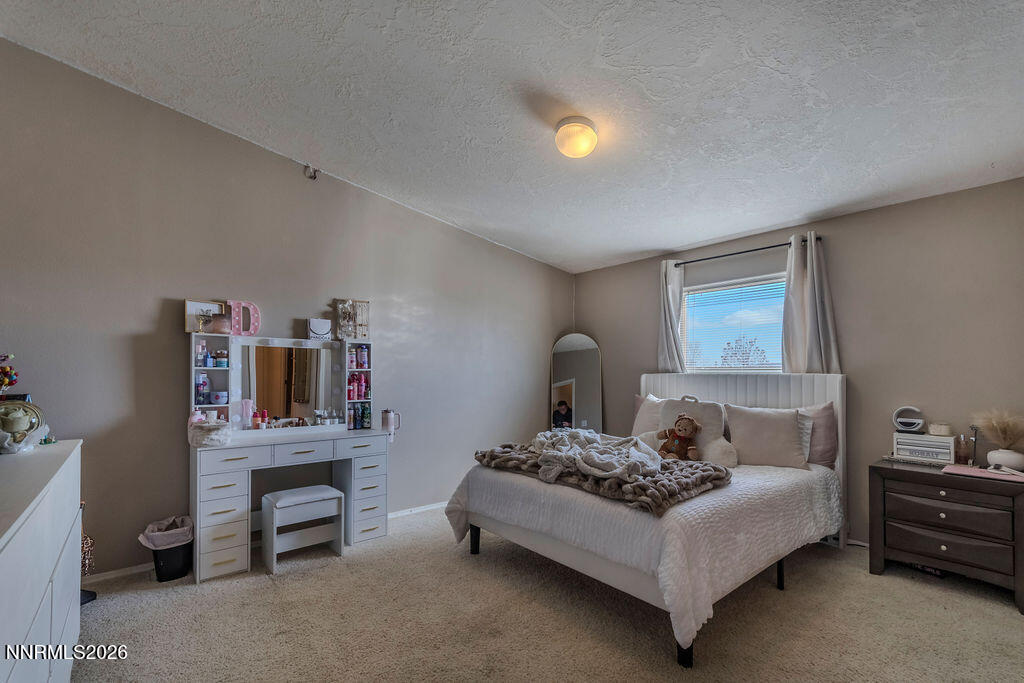 4595 Hackamore Lane Stagecoach, NV 89429 - Photo 35 of 59 HackamoreLn37