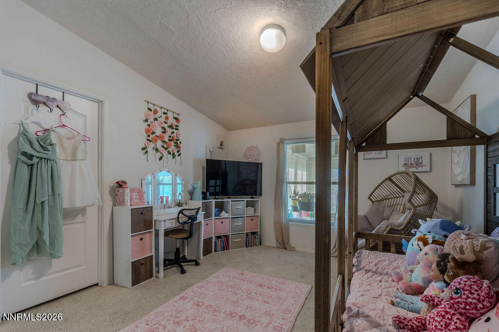 4595 Hackamore Lane Stagecoach, NV 89429 - Photo 40 of 59 HackamoreLn42