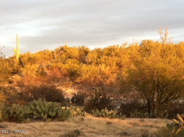 2901 North Wentworth Road Tucson, AZ 85749 - Photo 2 of 7 Gallery Image 2