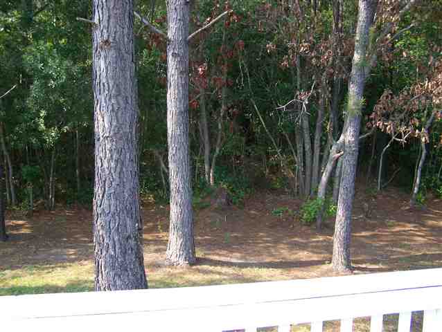 952 Jamestown Road Conway, SC 29526 - Photo 13 of 14 Gallery Image 13