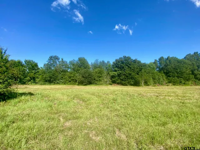 $14,000 | Lot #136 J B McDuff Drive, Crockett, TX 75835