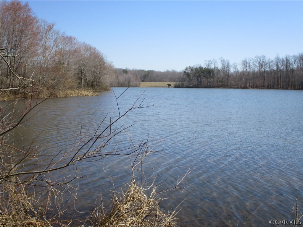 0 Campbell Hill Road Prospect, VA 23960 - Photo 3 of 9 Gallery Image 3