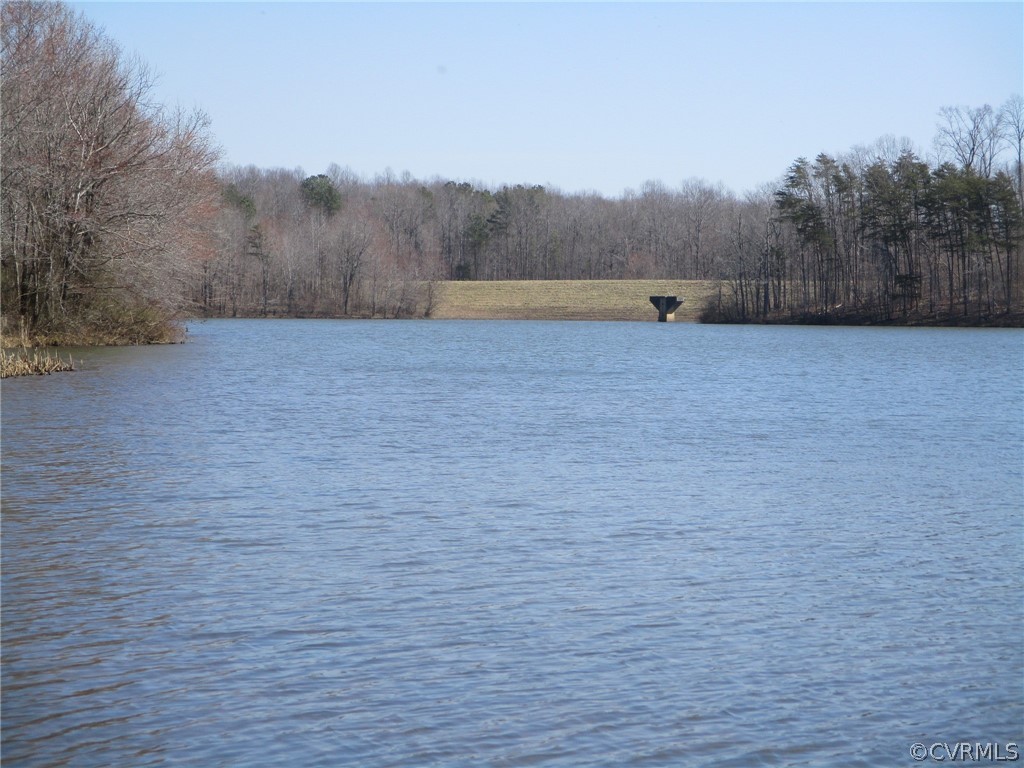 0 Campbell Hill Road Prospect, VA 23960 - Photo 4 of 9 Gallery Image 4