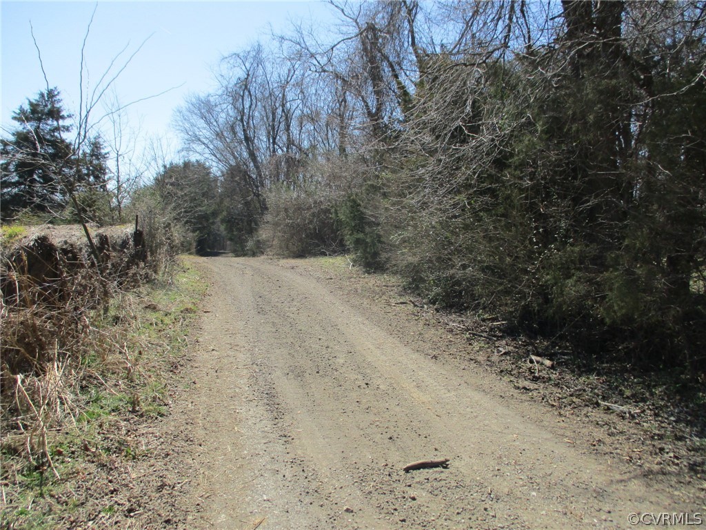 0 Campbell Hill Road Prospect, VA 23960 - Photo 5 of 9 Gallery Image 5