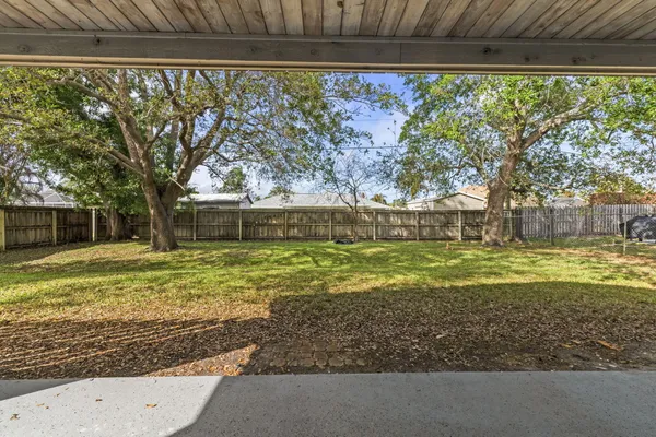 a view of a yard with a large tree