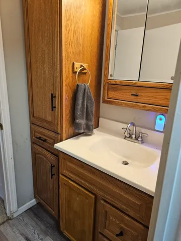 a bathroom with a sink and a mirror