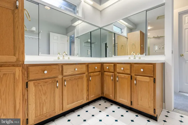 a bathroom with a sink a mirror and a shower