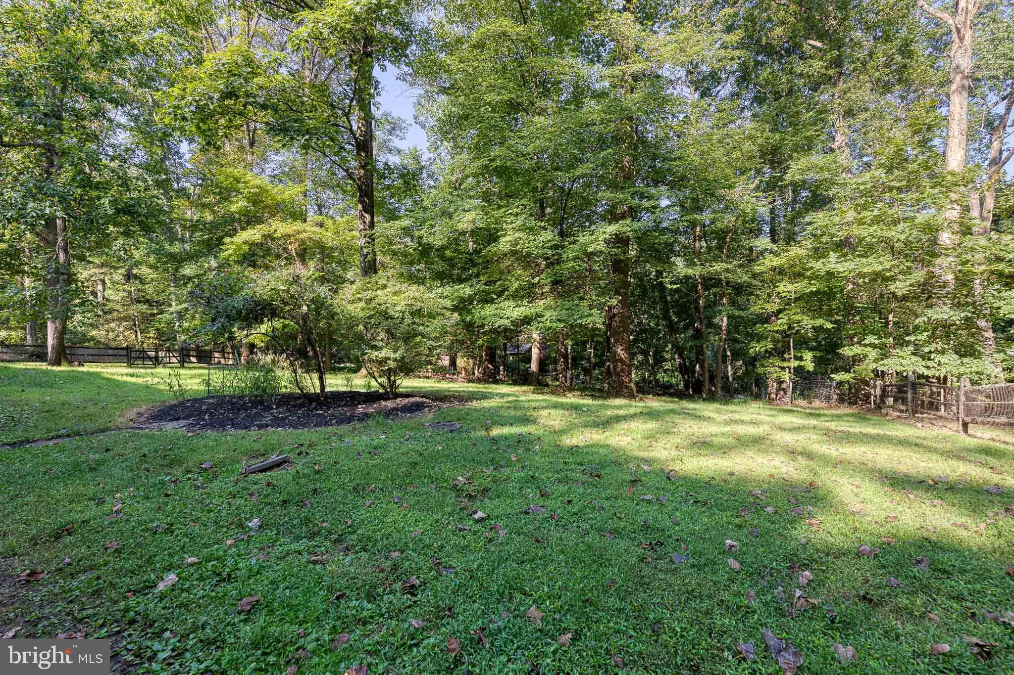 12610 Timber Grove Road Reisterstown, MD 21136 - Photo 36 of 39 a view of a trees with a yard