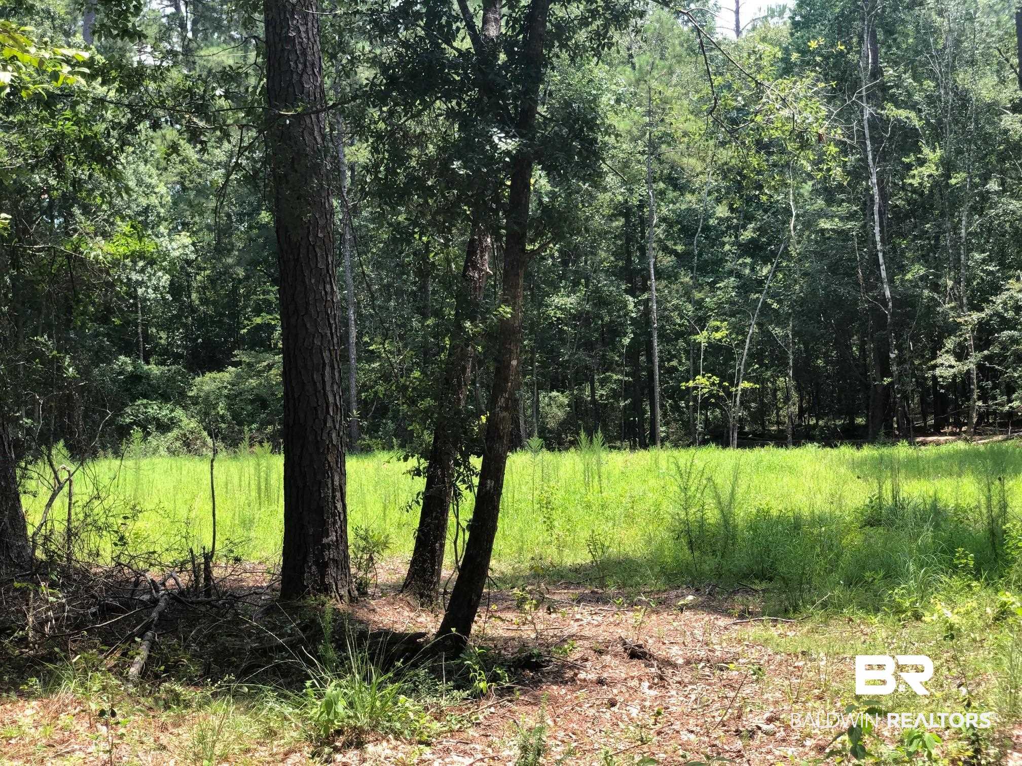 10280 Old Stage Road Stockton, AL 36579 - Photo 3 of 9