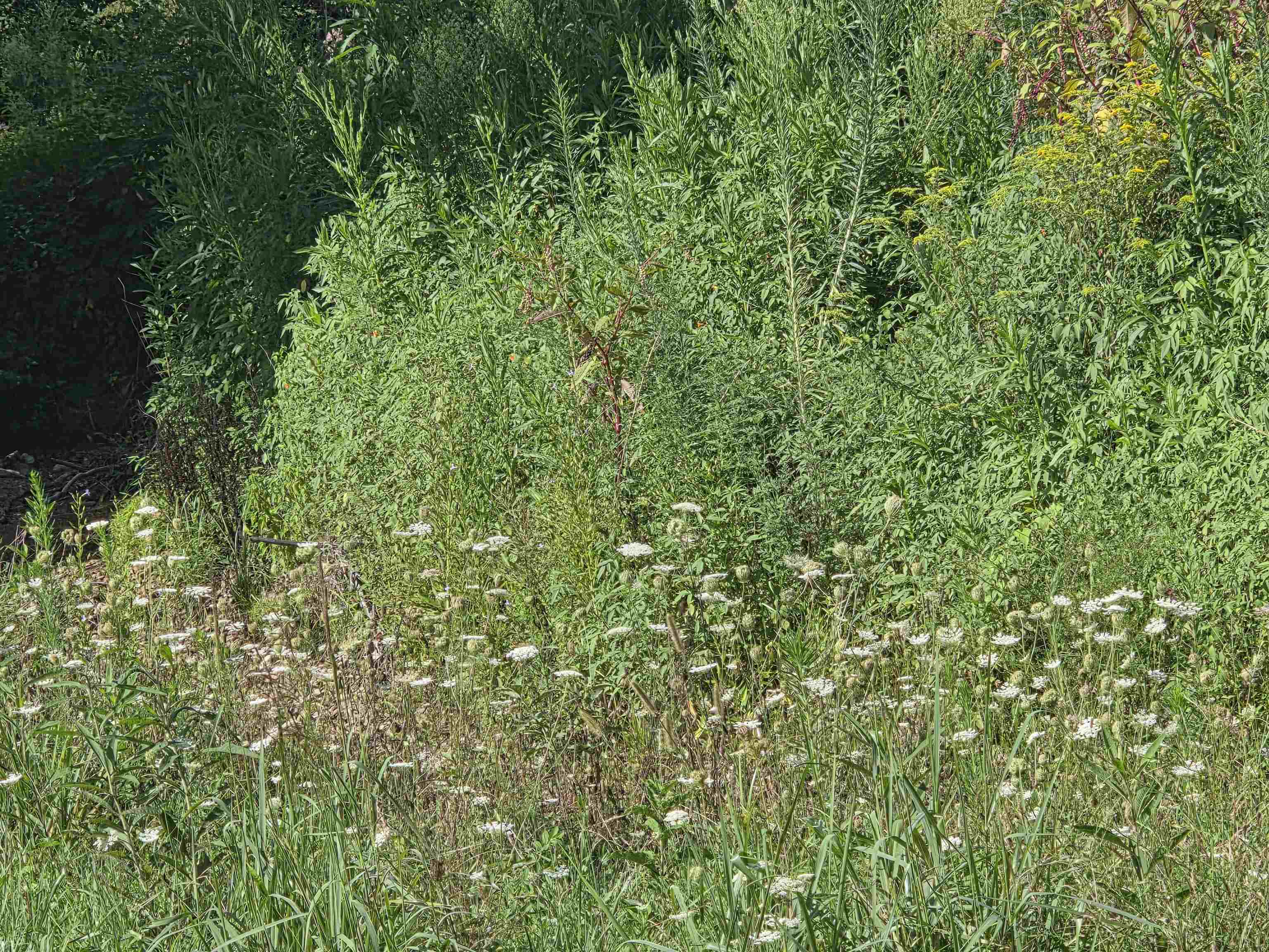 0 Tar Fork Road Vanceburg, KY 41179 - Photo 14 of 33 Gallery Image 14