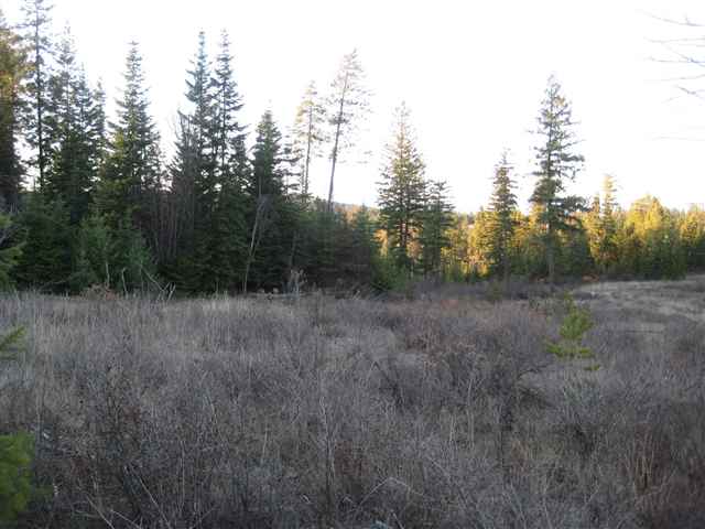 2 East Antler Road Chattaroy, WA 99003 - Photo 4 of 9 Gallery Image 4