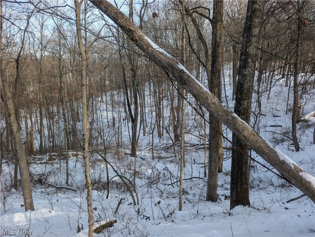 0 Tract 10 Kuhn Road Lewisville, OH 43754 - Photo 17 of 27 Snowy view