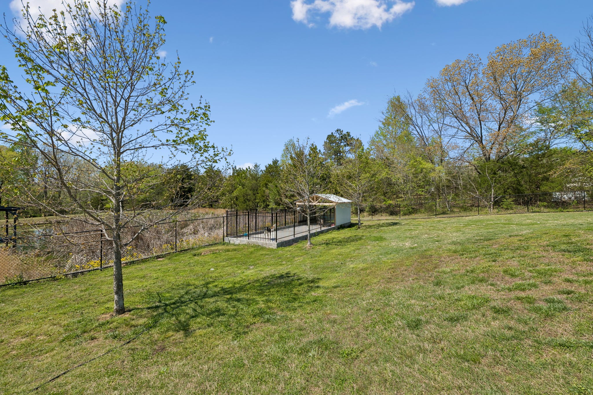 3010 Spencer Mill Road Bon Aqua, TN 37025 - Photo 79 of 100 a backyard of a house with lots of green space