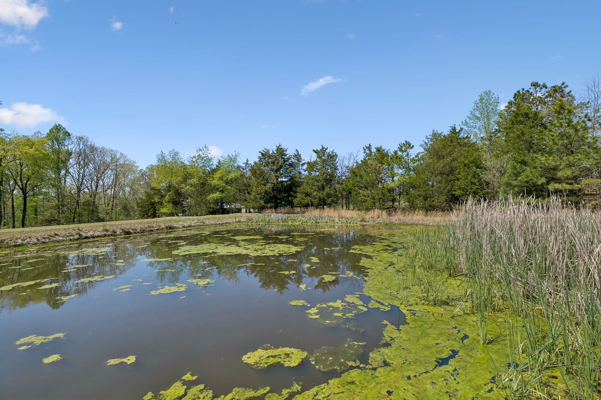 3010 Spencer Mill Road Bon Aqua, TN 37025 - Photo 81 of 100