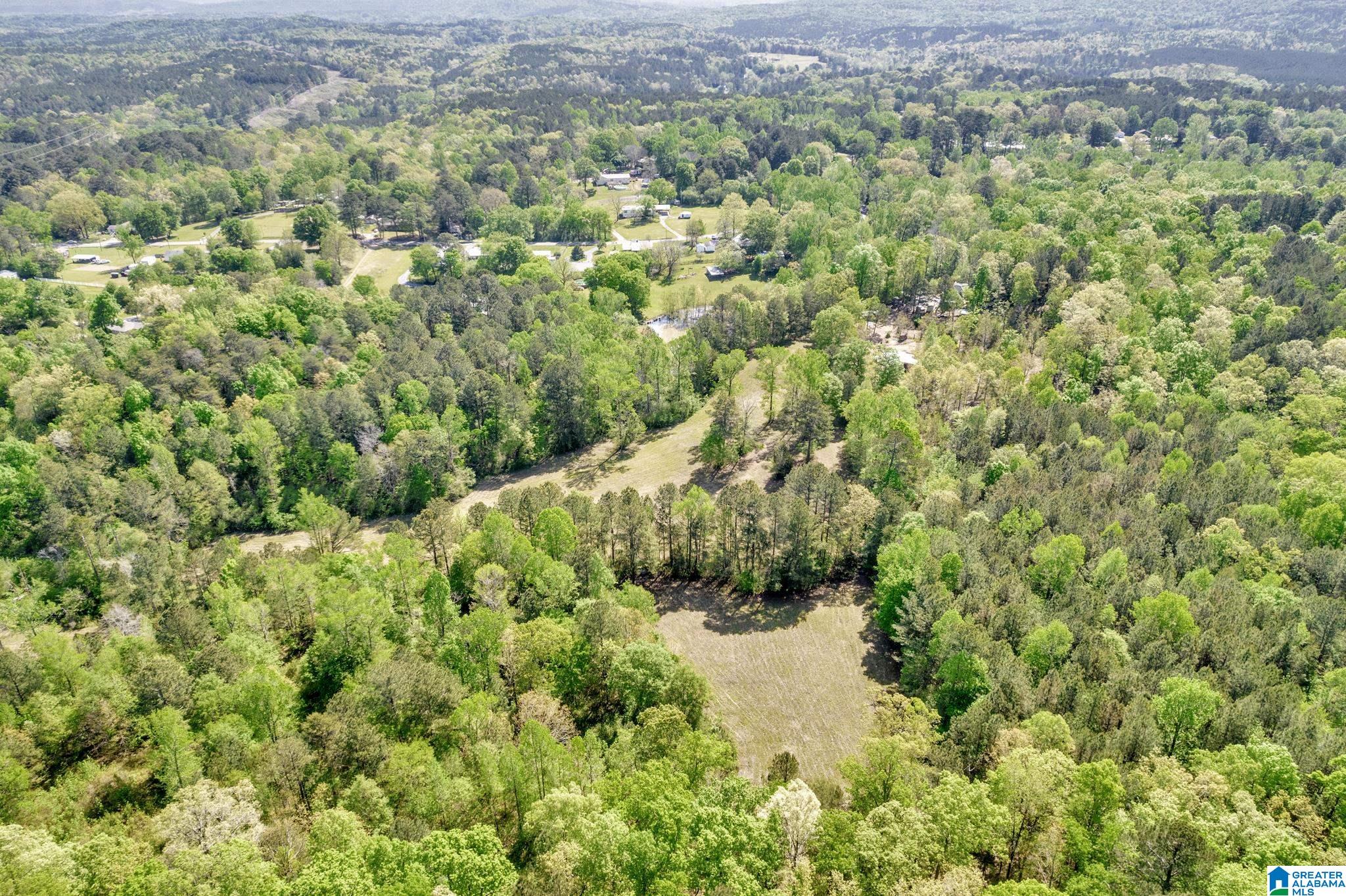 6776 New Castle Road Morris, AL 35116 - Photo 33 of 39