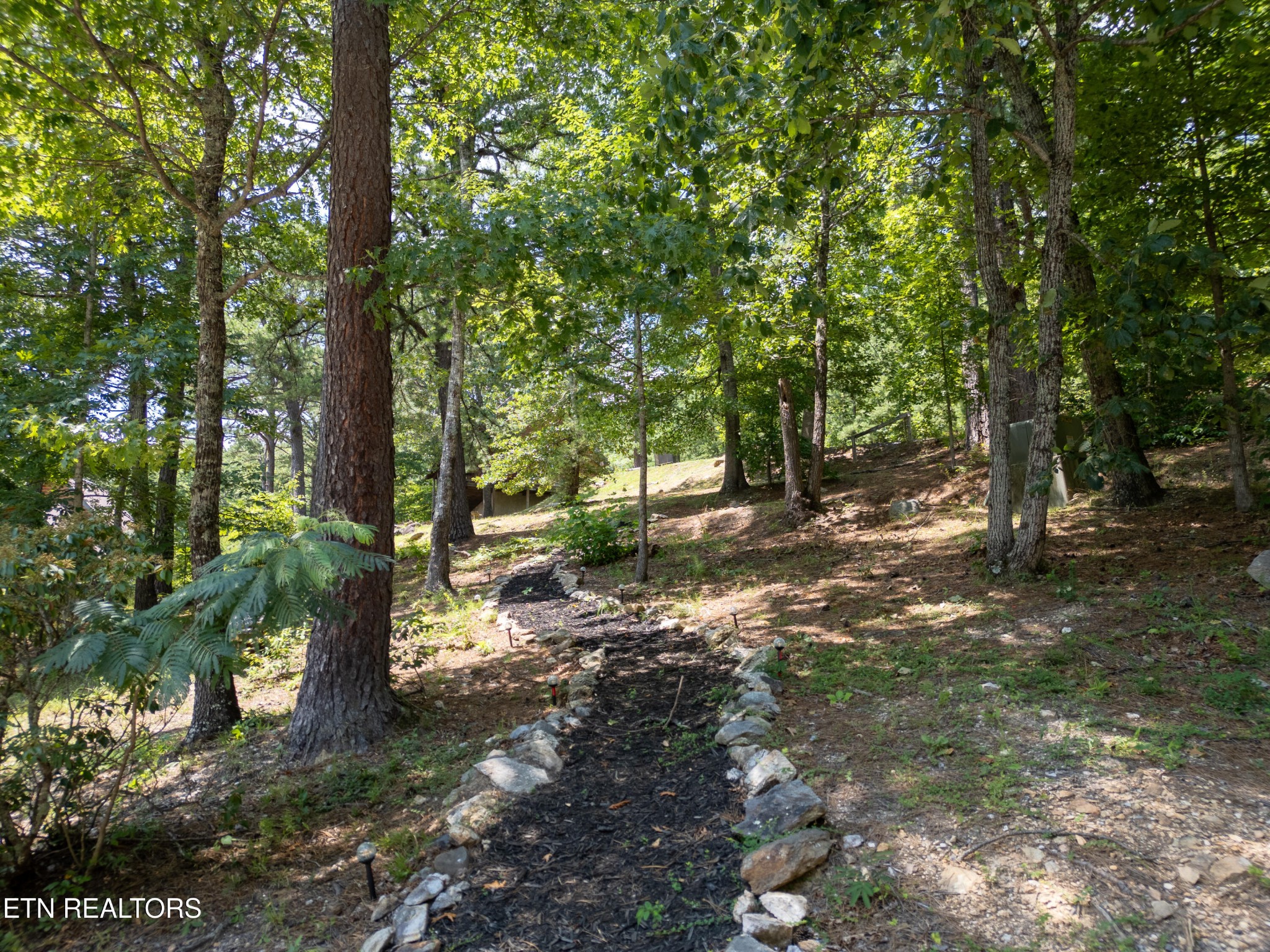 0 Wears Valley Road Townsend, TN 37882 - Photo 21 of 34 Gallery Image 21
