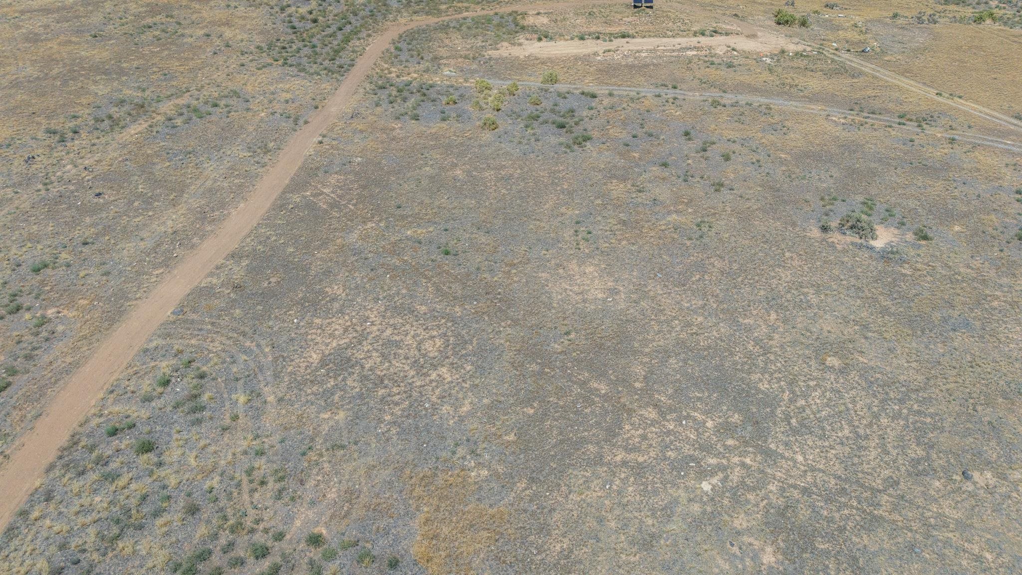 589 39 Road Palisade, CO 81526 - Photo 18 of 40