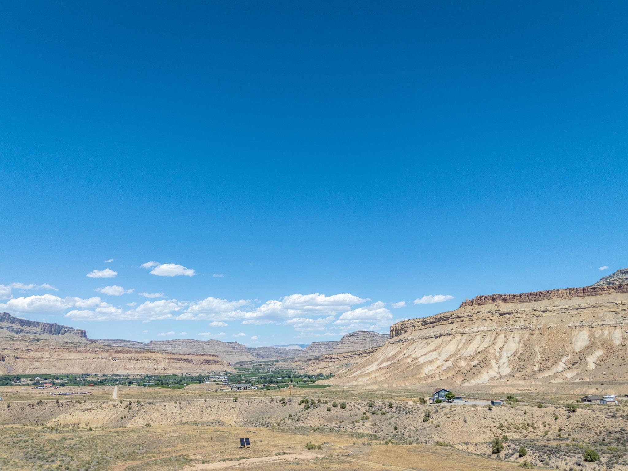589 39 Road Palisade, CO 81526 - Photo 22 of 40 a view of a large tree with beach