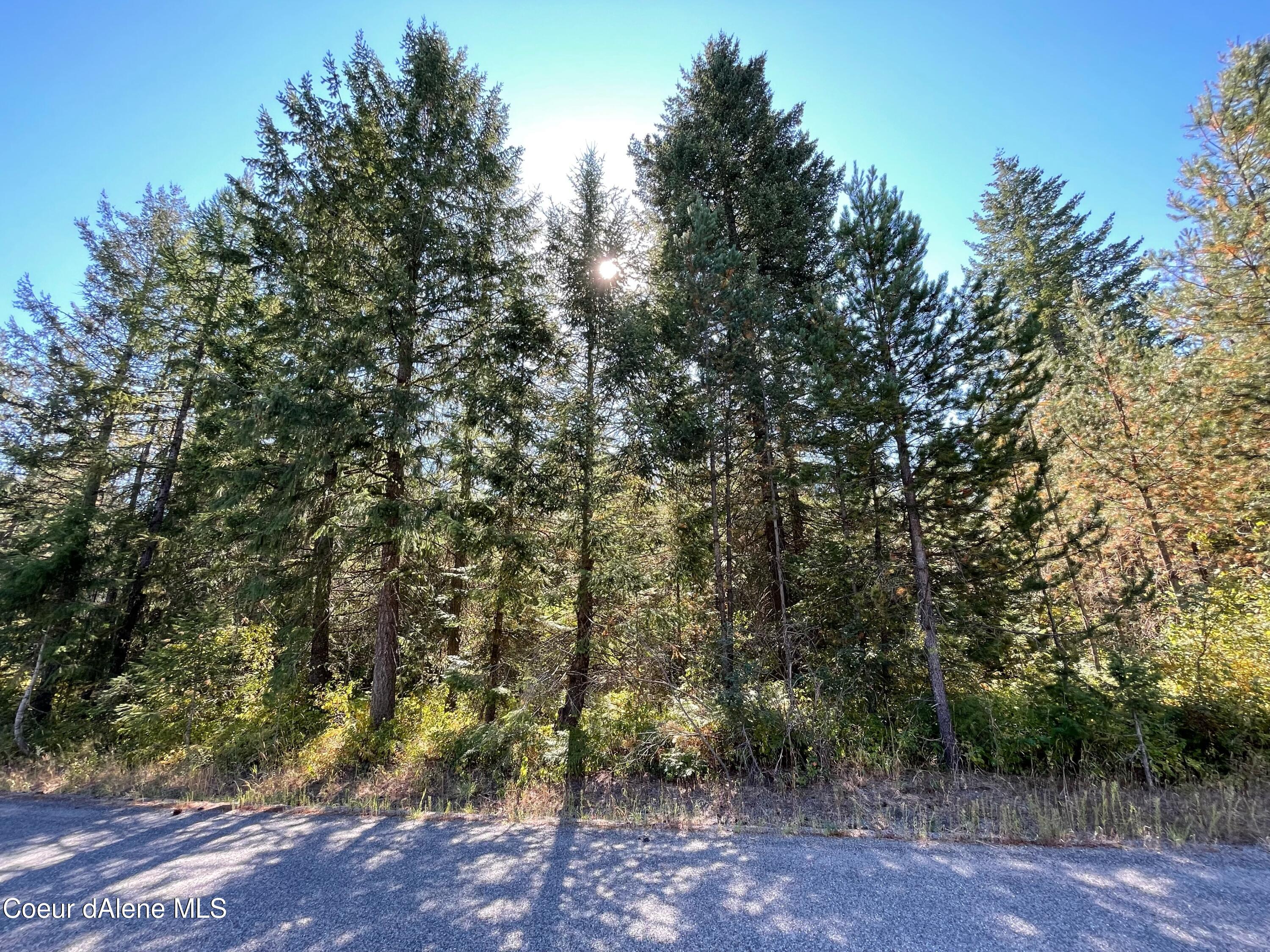 Nna West Sturgeon Road Rathdrum, ID 83858 - Photo 1 of 1 image0 (1)