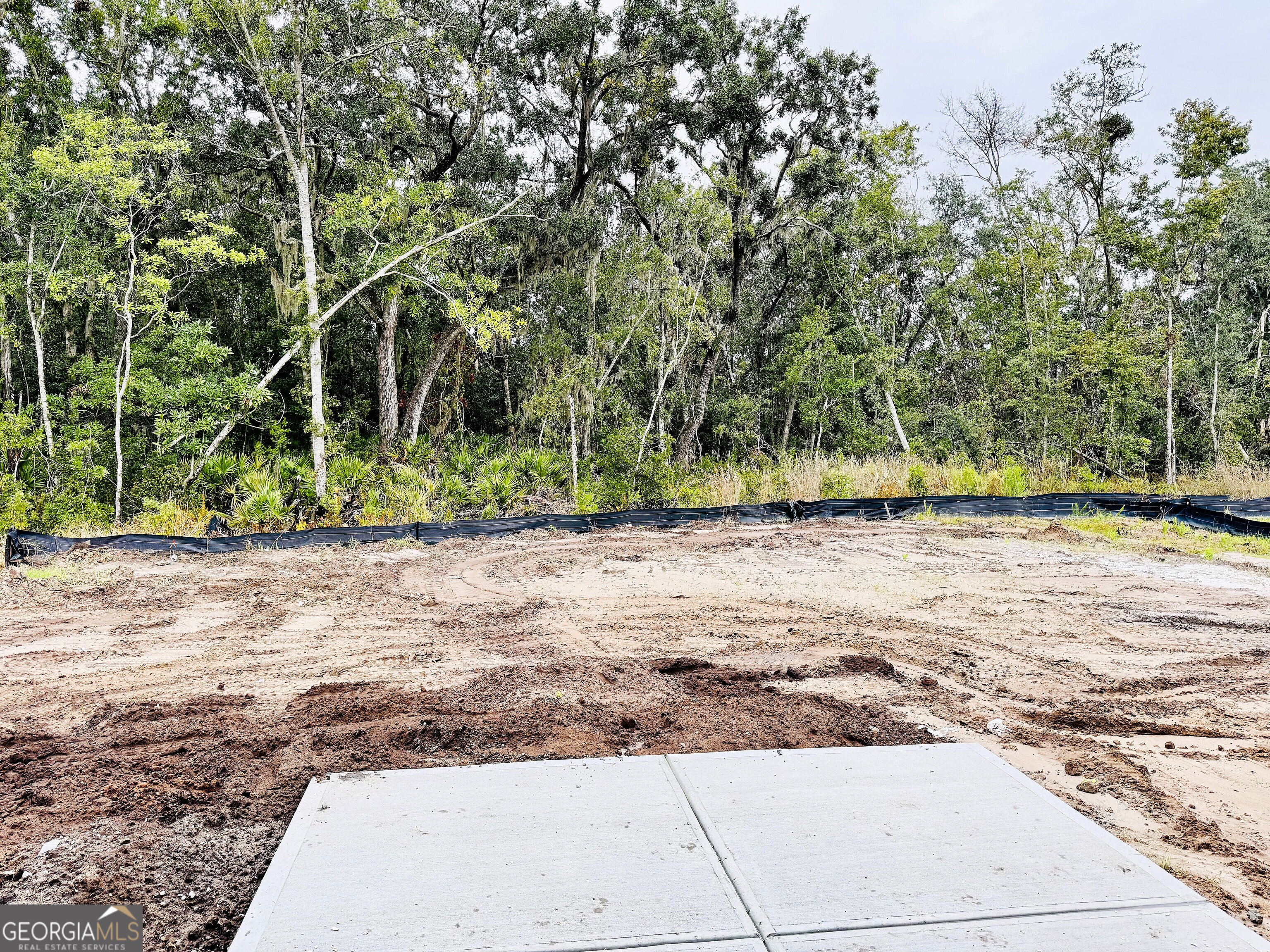 115 Tidal Marsh Way St. Marys, GA 31558 - Photo 2 of 17 a view of swimming pool with a yard