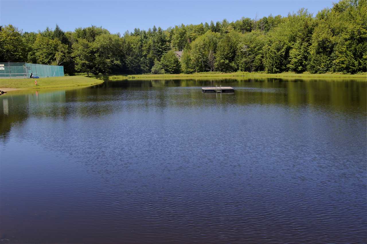 33 Strattonwald Road Winhall, VT 05340 - Photo 20 of 21