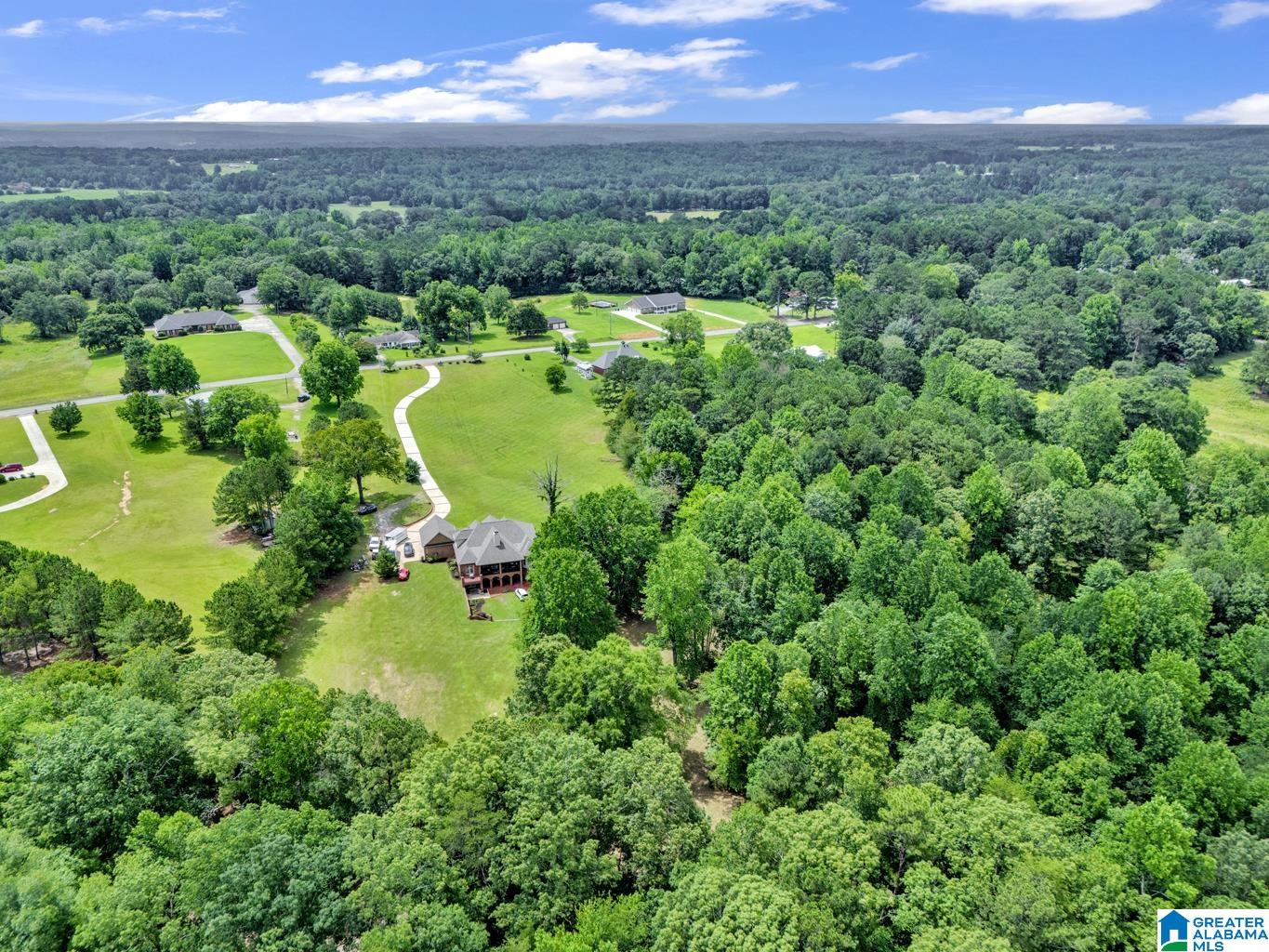 8664 County Line Road Dora, AL 35062 - Photo 65 of 67