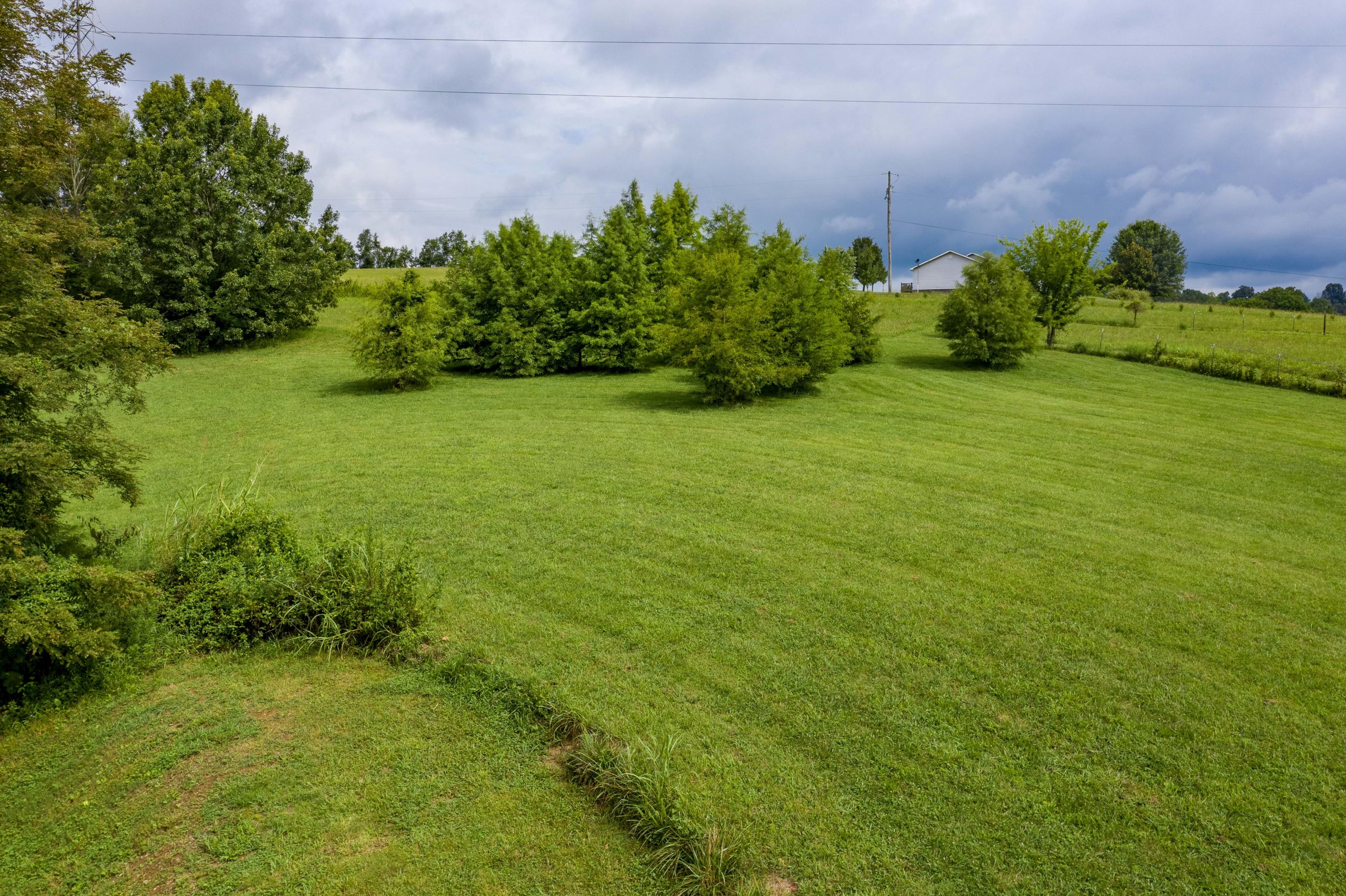 2685 Ripley Island Road Afton, TN 37616 - Photo 67 of 86 2685 Ripley Island Road Afton (32 of 118