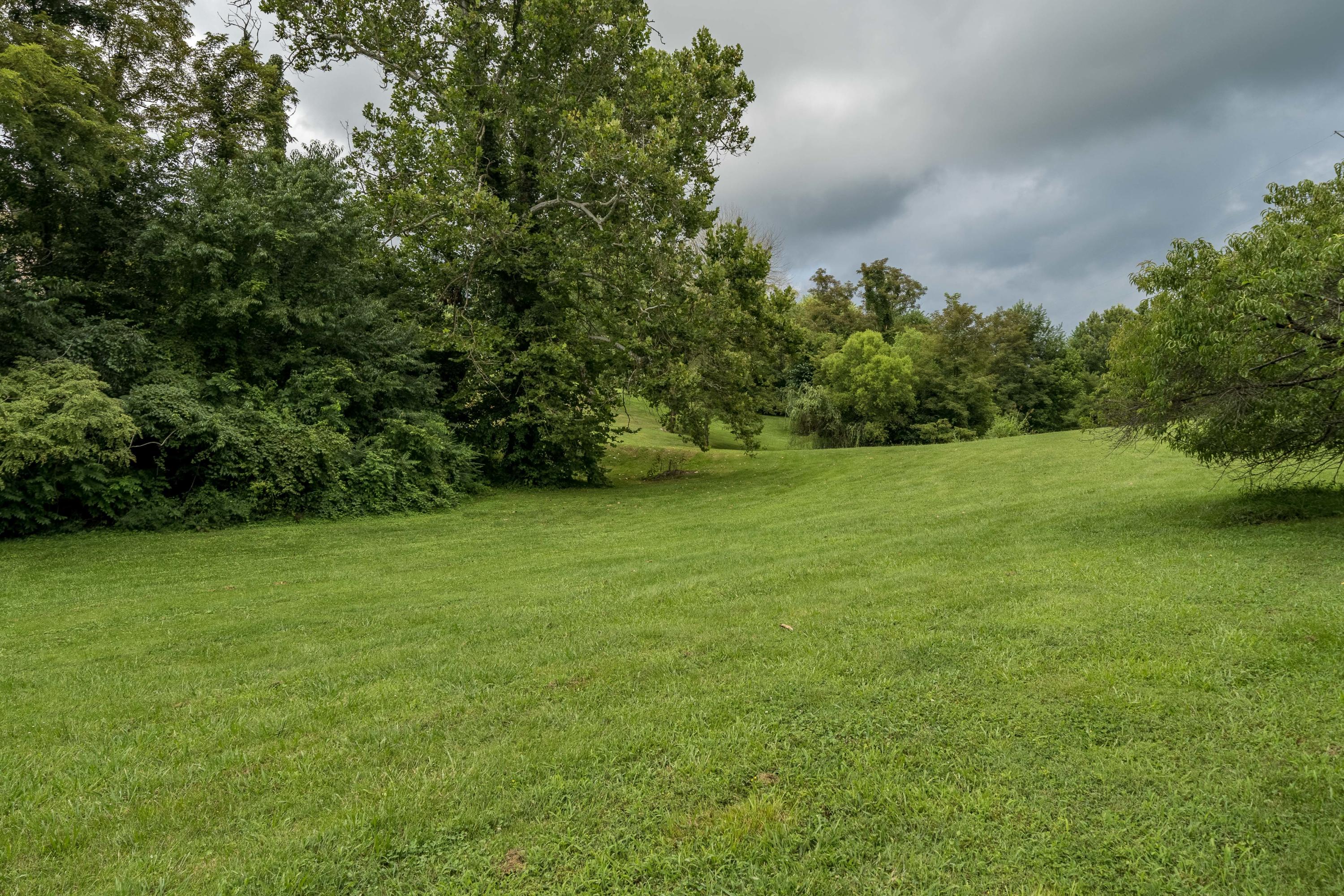 2685 Ripley Island Road Afton, TN 37616 - Photo 75 of 86 2685 Ripley Island Road Afton (72 of 118