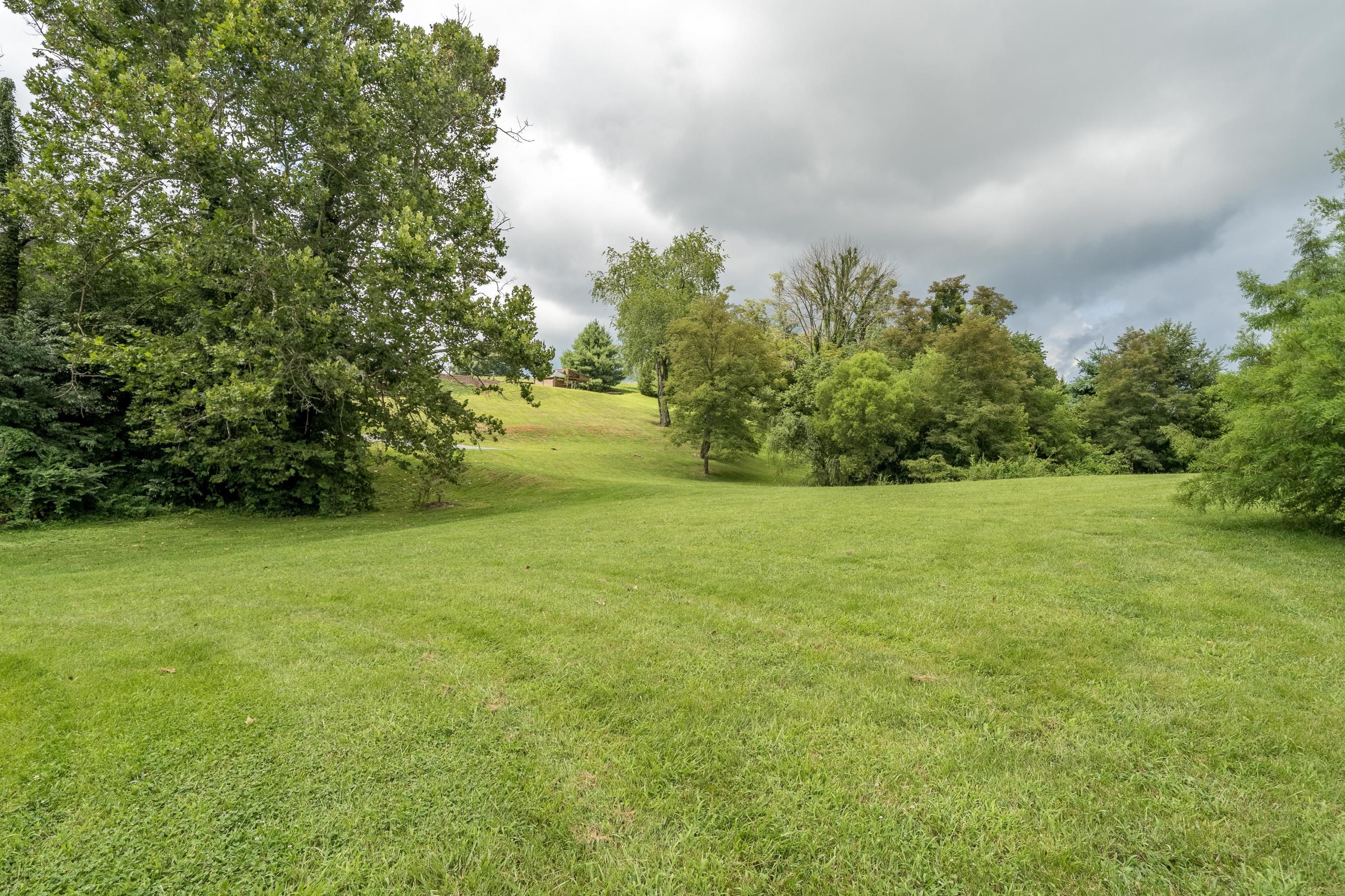 2685 Ripley Island Road Afton, TN 37616 - Photo 76 of 86 2685 Ripley Island Road Afton (73 of 118