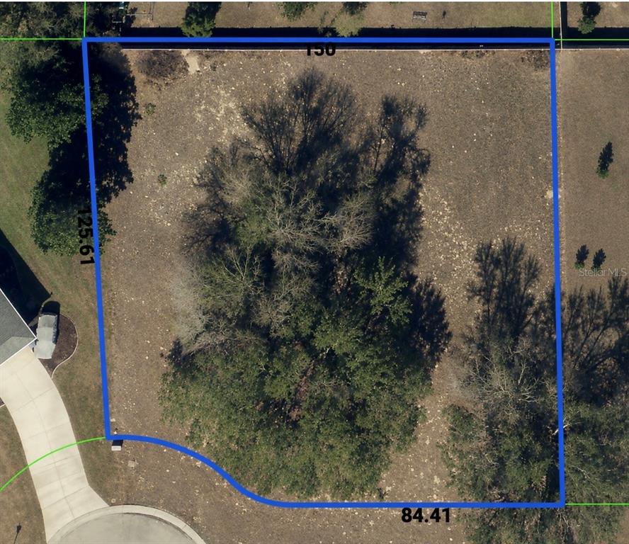 9925 Reindeer Court Spring Hill, FL 34608 - Photo 5 of 8 a view of a tree in a backyard