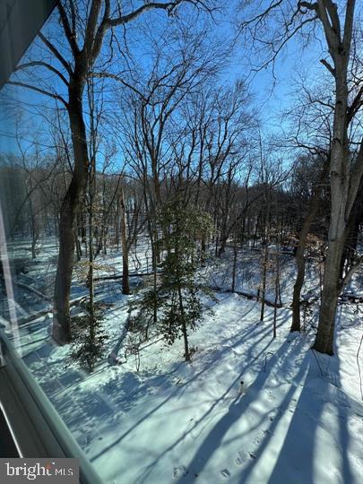 144 Pratts Branch Road Felton, DE 19943 - Photo 28 of 39 View from bedroom 1