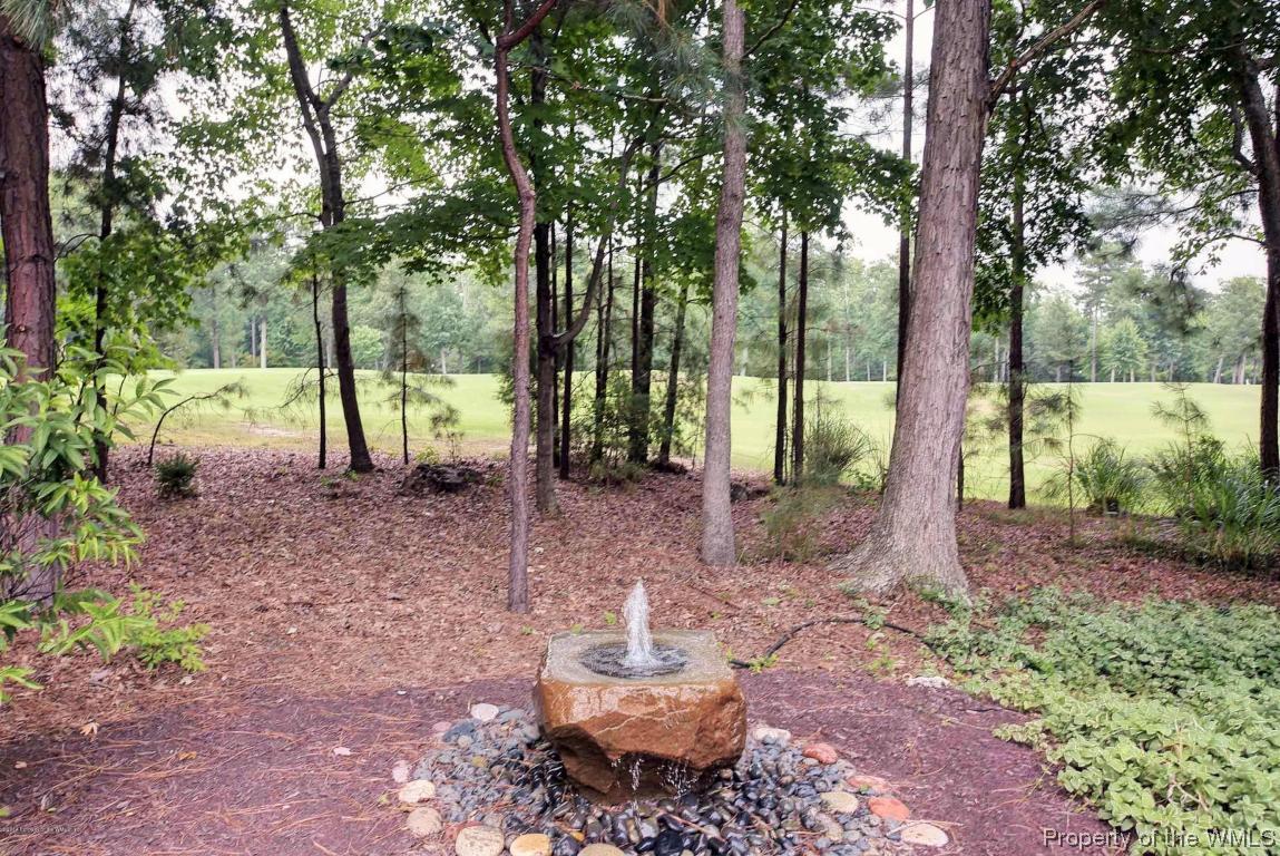 2304 West Island Road Williamsburg, VA 23185 - Photo 52 of 53 Calming water feature