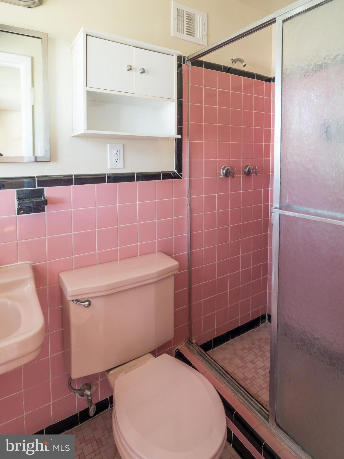 1512 Vivian Court Silver Spring, MD 20902 - Photo 24 of 33 Primary Bathroom