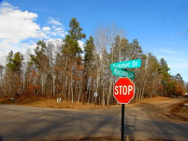 $30,000 | Tbd Summer Drive, Breezy Point, MN 56472