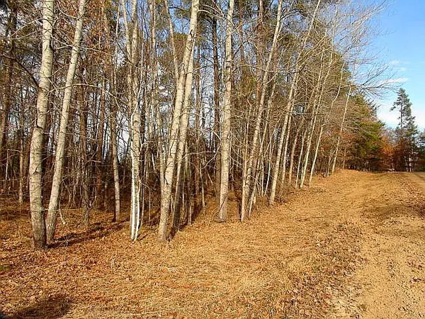 $30,000 | Tbd Summer Drive, Breezy Point, MN 56472