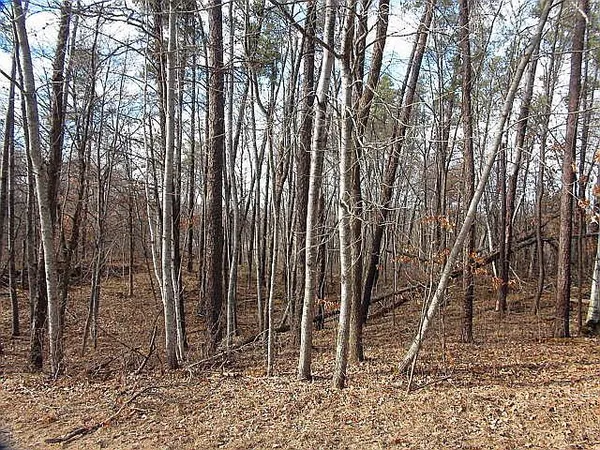 $30,000 | Tbd Summer Drive, Breezy Point, MN 56472