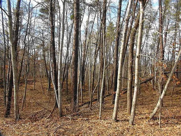 $30,000 | Tbd Summer Drive, Breezy Point, MN 56472