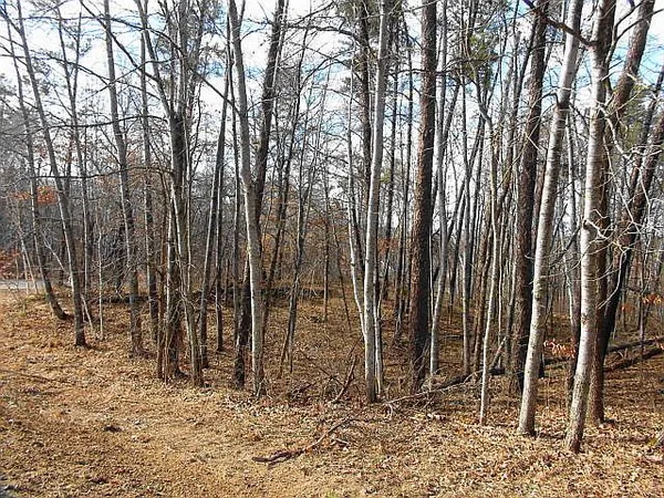 $30,000 | Tbd Summer Drive, Breezy Point, MN 56472