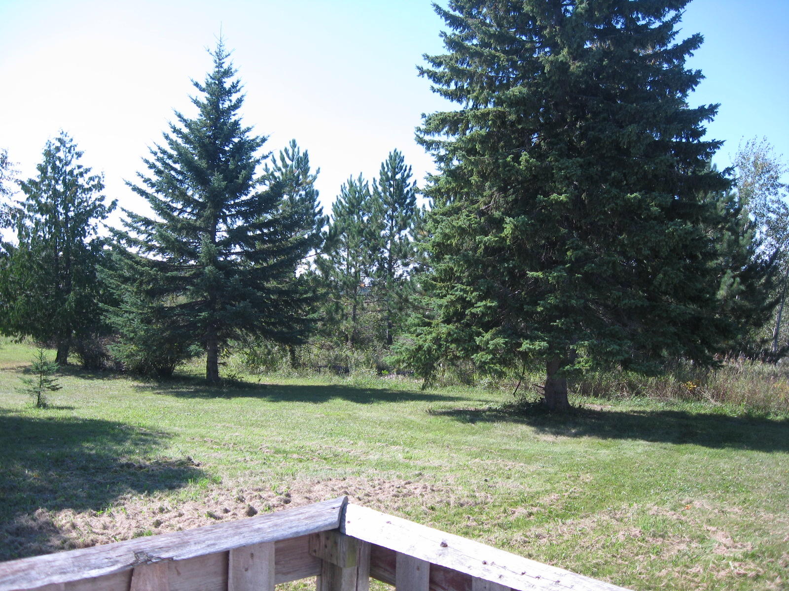 2901 Lacomb Road Alpena, MI 49707 - Photo 6 of 9 Gallery Image 6