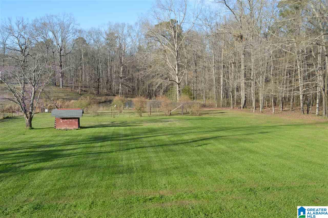 3337 Nail Road Warrior, AL 35180 - Photo 46 of 50