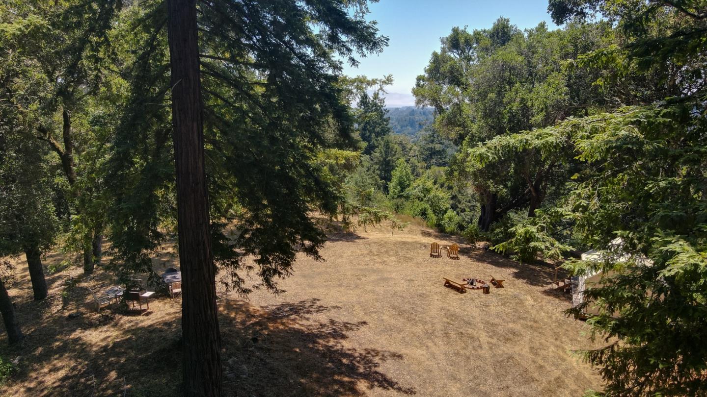 1003 Laurel Glen Road Soquel, CA 95073 - Photo 66 of 101 a view of a forest covered with trees