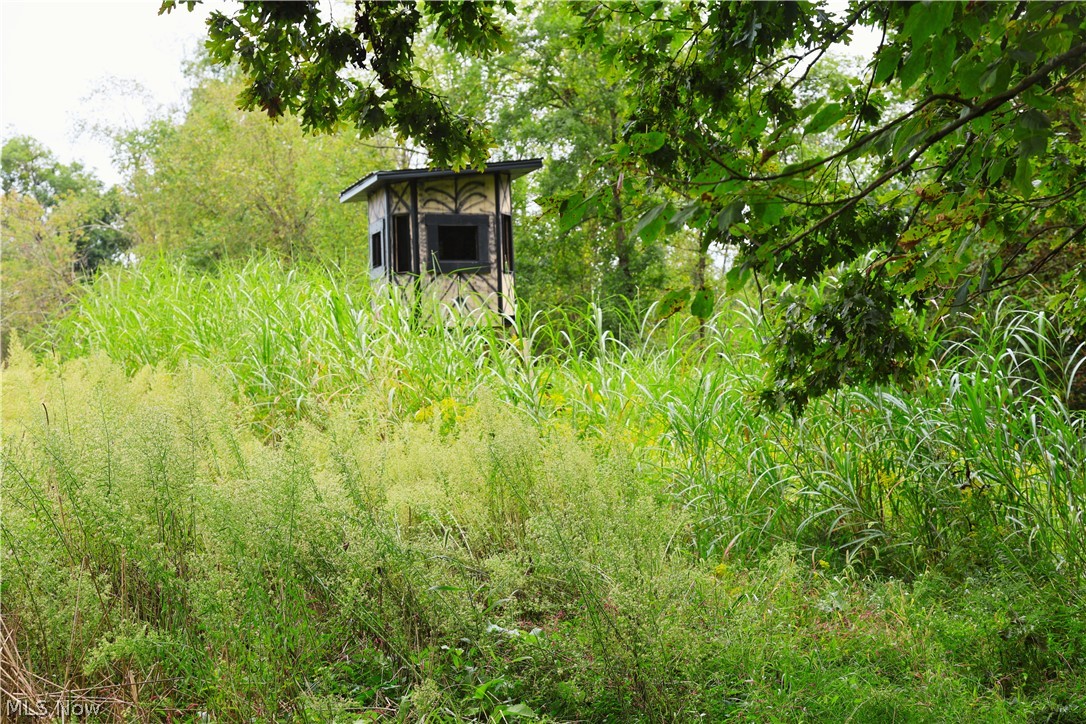 212 Township Road Fresno, OH 43824 - Photo 17 of 50 Wood-clad hunting blind with multiple window openings, surrounded by dense foliage and mature trees