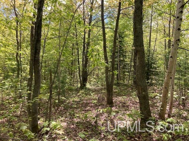 2 Boundary Road Chassell, MI 49916 - Photo 48 of 77