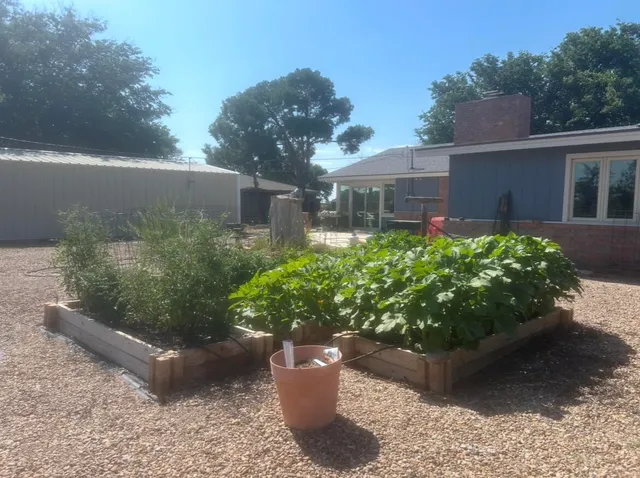 a view of a garden with plants