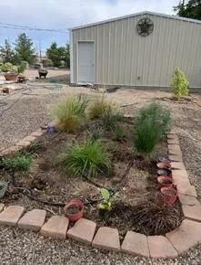 a view of a backyard