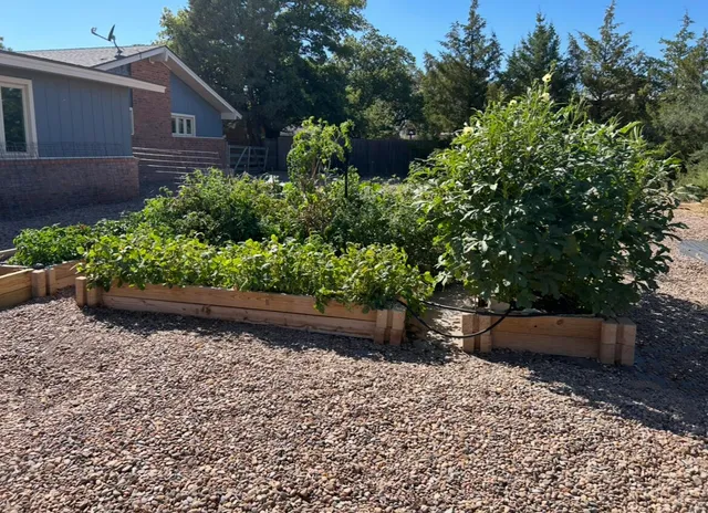 a view of a backyard with potted plants