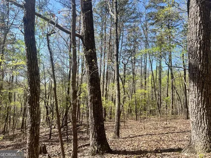 $45,000 | Lot 92 Doll Mountain Road, Ellijay, GA 30540