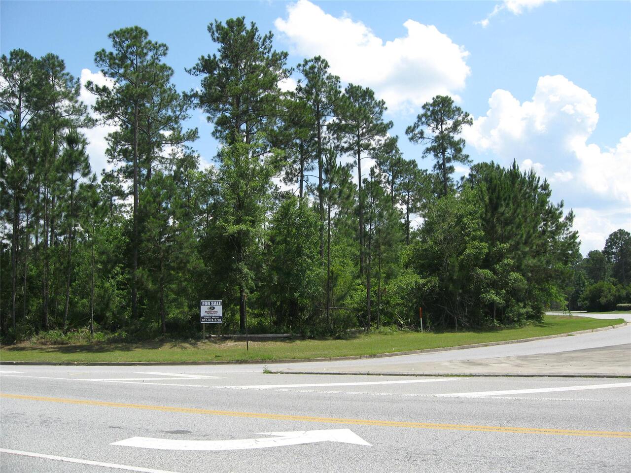 0 Incachee Road Northeast Waverly, GA 31568 - Photo 1 of 1 a view of a yard in a house
